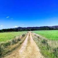 Galician countryside